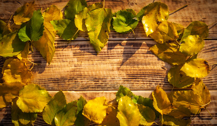 Similar image 21246857