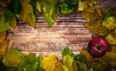 Similar image 21241405