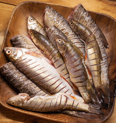 Similar image 21241408