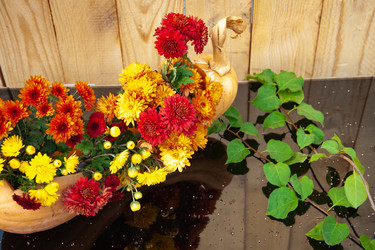 Similar image 21246863