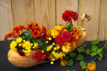 Similar image 21241416