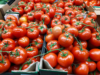 Similar image 21219209