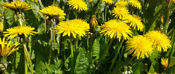 Similar image 21219213