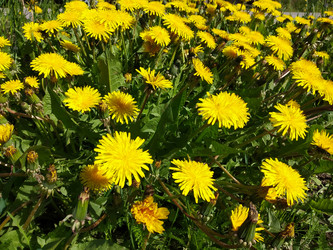 Similar image 21219214