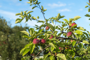 Similar image 21205582