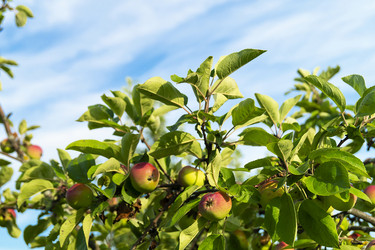 Similar image 21205583