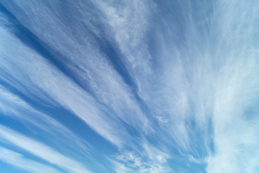 Similar image 21205586