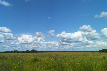 Similar image 21205827