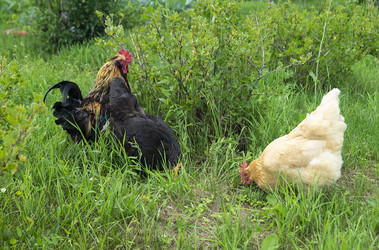 Similar image 21205828