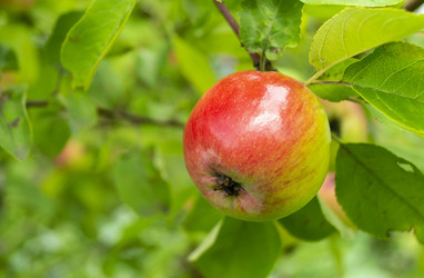 Similar image 21205831