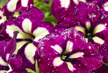 Similar image 21205832