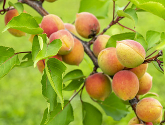 Similar image 21205833