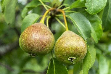 Similar image 21205835