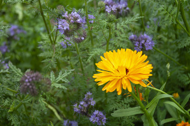 Similar image 21205838