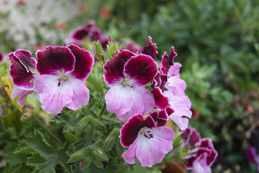 Similar image 21205839