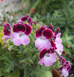 Similar image 21205840