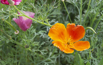 Similar image 21205842