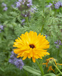 Similar image 21205843