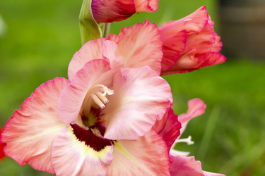 Similar image 21208992