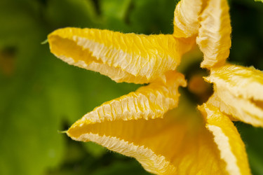 Similar image 21208994