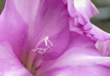 Similar image 21208999