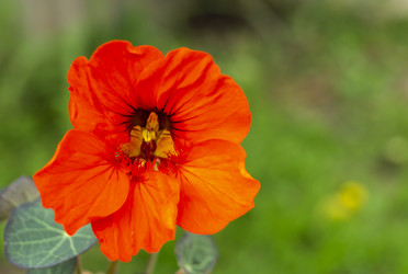 Similar image 21209022