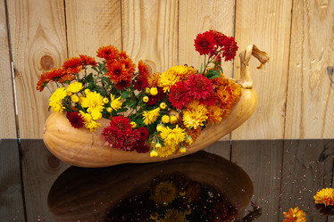 Similar image 21244374