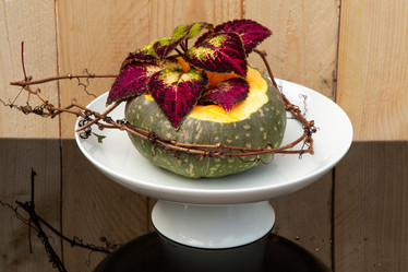 Similar image 21241311