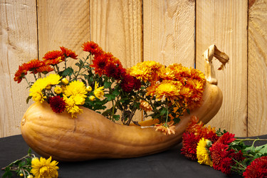 Similar image 21222170