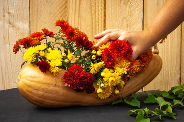 Similar image 21241313