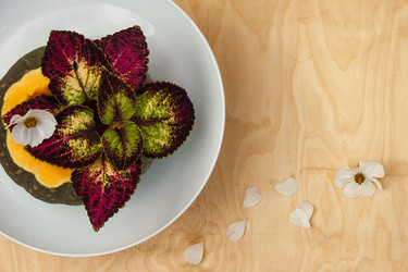 Similar image 21244376