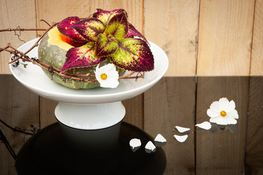 Similar image 21244377