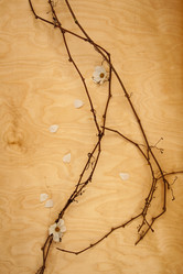 Similar image 21244378