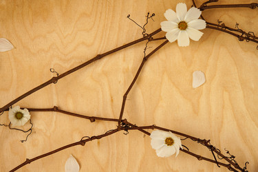 Similar image 21211616