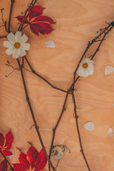 Similar image 21246864