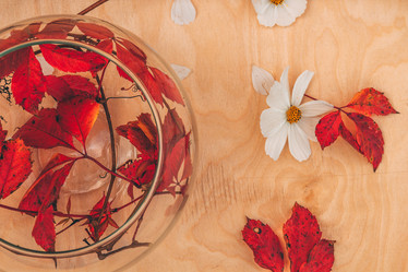 Similar image 21238173