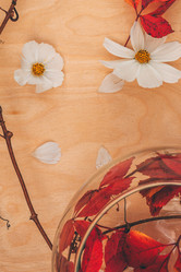 Similar image 21241319