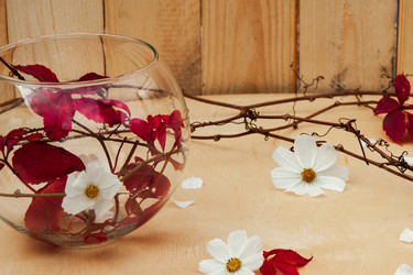 Similar image 21238175