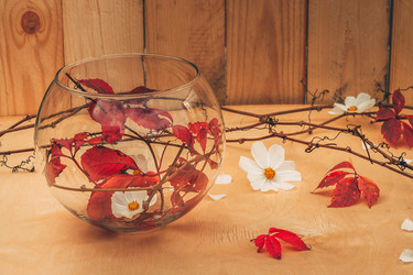 Similar image 21238179