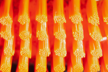 Similar image 21241419