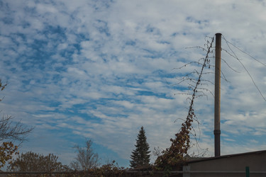 Similar image 21238187