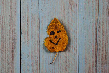 Similar image 21238191