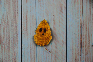 Similar image 21238193