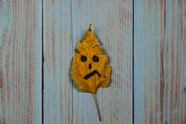 Similar image 21238360