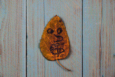 Similar image 21238425