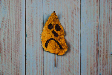 Similar image 21238427