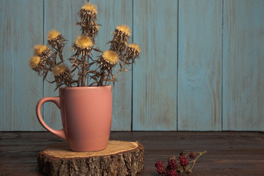 Similar image 21238429