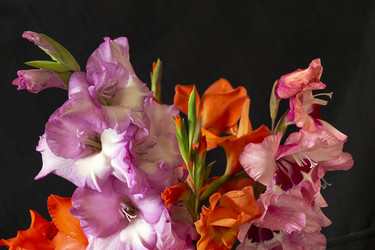 Similar image 21219218