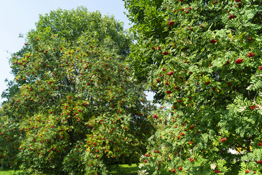 Similar image 21219221