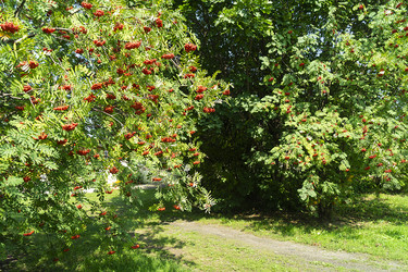 Similar image 21219224